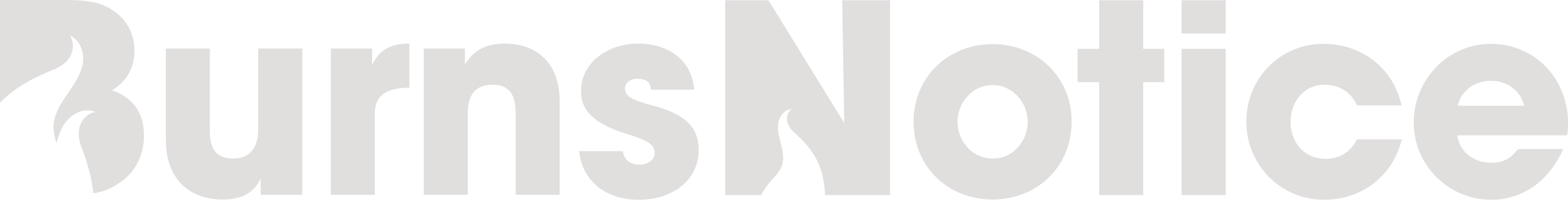 Burns Notice